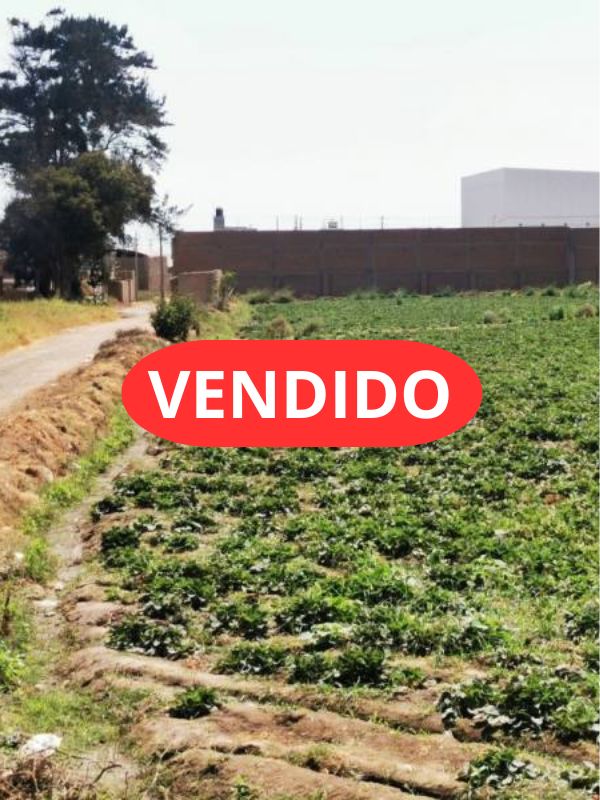 venta de Venta de Terreno en Huacho 9630m2